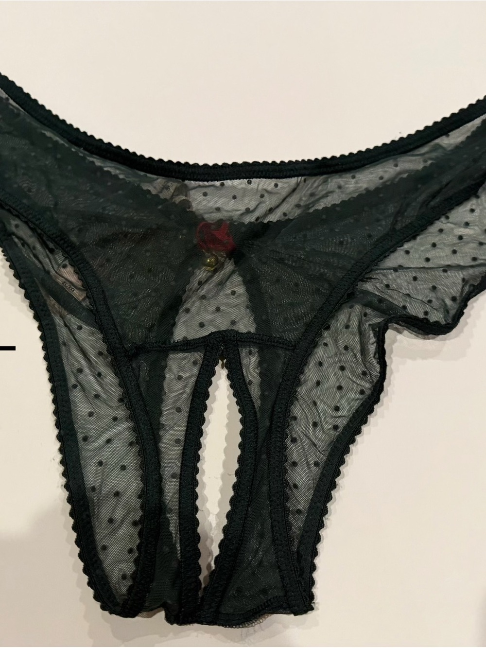 Victoria's Secret Black Sheer Polka Dot Cutout Bikini Panty with Rose Accent